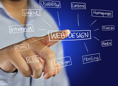 Veterinary Web Design